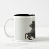 Boadicea 1902年 ツートーンマグカップ (左)