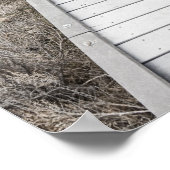 Boardwalk through the desert ポスター (角)