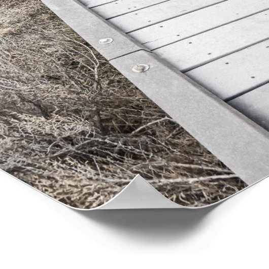 Boardwalk through the desert ポスター (角)