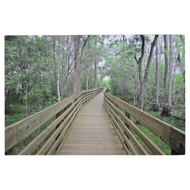 Boardwalk Through the Woods created as メタルプリント (正面)