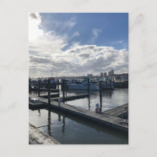 Boat Basin, Riverside Park New York City NYC Photo ポストカード