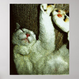 Bob Enjoying A Snooze ポスター