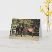 Bob Langrish | 3 Andalucian Youngsters Standing カード (黄色い花)