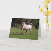 Bob Langrish | Appaloosa Running カード (黄色い花)