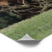 Bob Langrish | Appaloosa Running ポスター (角)