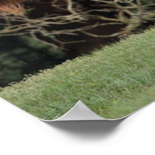 Bob Langrish | Appaloosa Running ポスター (角)