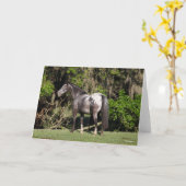 Bob Langrish | Appaloosa Standing カード (黄色い花)