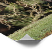 Bob Langrish | Appaloosa Standing ポスター (角)