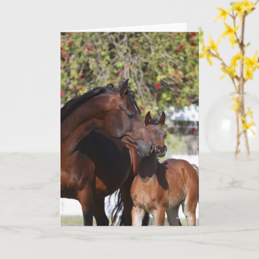 Bob Langrish | Arab Mare and Foal Standing カード (黄色い花)