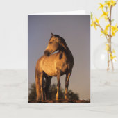 Bob Langrish | Arab Standing On Hill At Sunset カード (黄色い花)