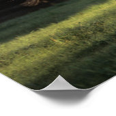 Bob Langrish | Bay Andalucian Horse Running ポスター (角)