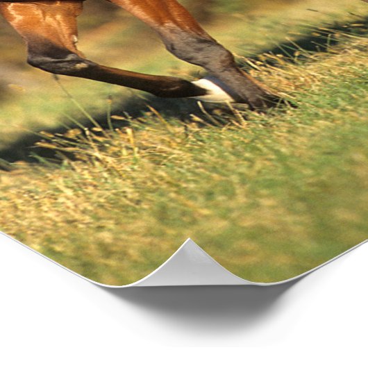 Bob Langrish | Bay Arab Autumnal Background ポスター (角)