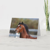 Bob Langrish | Bay Arab Colt Headshot カード (正面)