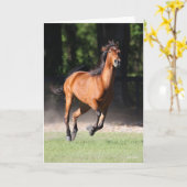 Bob Langrish | Bay Tennessee Walker Running カード (黄色い花)