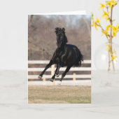 Bob Langrish | Black Andalucian Horse Running カード (黄色い花)