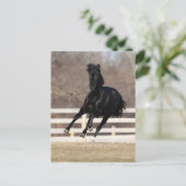 Bob Langrish | Black Andalucian Horse Running ポストカード (スタンド正面)