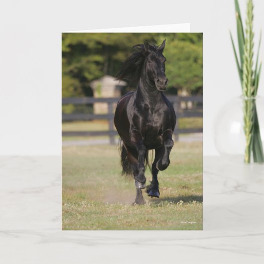 Bob Langrish | Black Friesian Horse Running カード (正面)