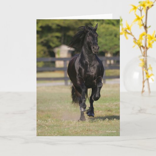 Bob Langrish | Black Friesian Horse Running カード (黄色い花)