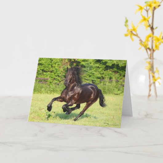 Bob Langrish | Black Friesian Running カード (黄色い花)