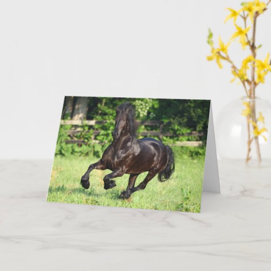 Bob Langrish | Black Friesian Running カード (黄色い花)