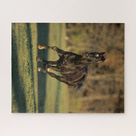 Bob Langrish | Black Thoroughbred Running ジグソーパズル (横)