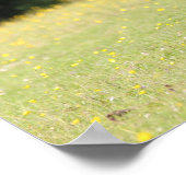 Bob Langrish | Chestnut Shetland Pony Stallion ポスター (角)