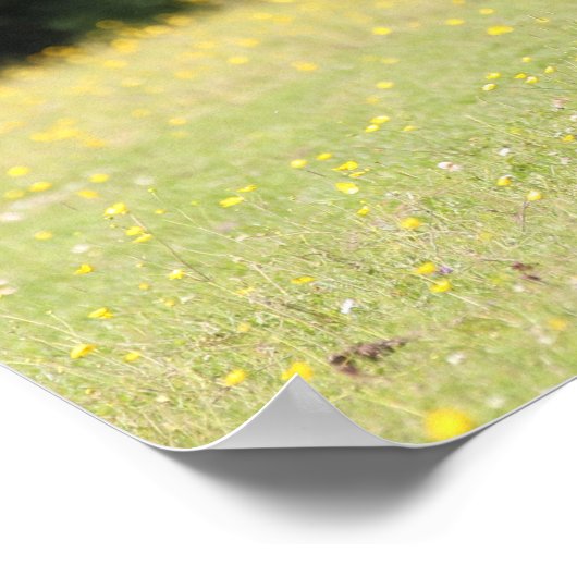 Bob Langrish | Chestnut Shetland Pony Stallion ポスター (角)