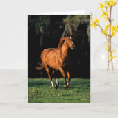 Bob Langrish | Chestnut Warmblood Mare Running カード (黄色い花)