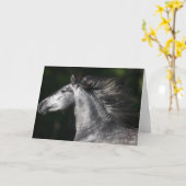 Bob Langrish | Dapple Grey Andalucian headshot カード (黄色い花)