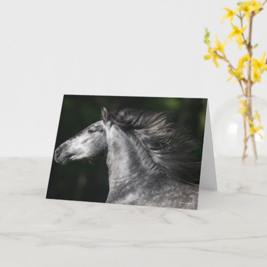 Bob Langrish | Dapple Grey Andalucian headshot カード (黄色い花)