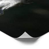 Bob Langrish | Dapple Grey Andalucian headshot ポスター (角)