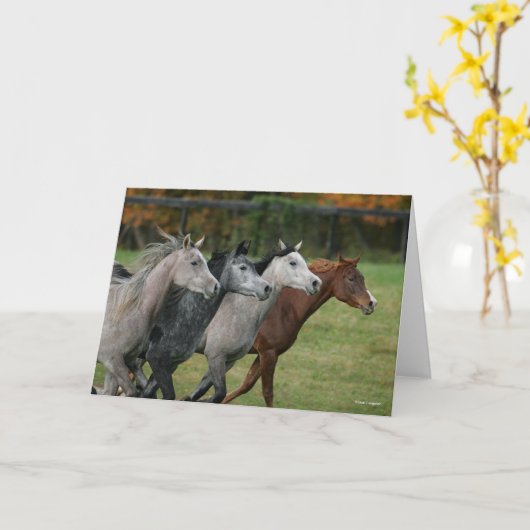 Bob Langrish | Four Arab Horses Racing Headshot カード (黄色い花)