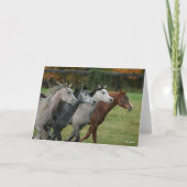 Bob Langrish | Four Arab Horses Racing Headshot カード (正面)