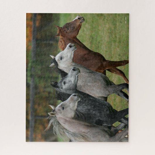 Bob Langrish | Four Arab Horses Racing Headshot ジグソーパズル (縦)