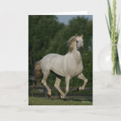 Bob Langrish | Grey Andalucian Running カード (正面)