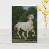 Bob Langrish | Grey Andalucian Running カード (黄色い花)