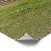 Bob Langrish | Grey Andalucian Stallion Leaping ポスター (角)