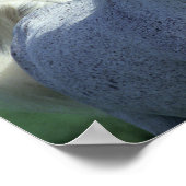 Bob Langrish | Grey Arab Headshot ポスター (角)