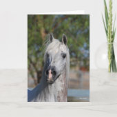 Bob Langrish | Grey Arab Stallion Headshot カード (正面)