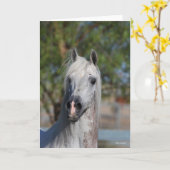 Bob Langrish | Grey Arab Stallion Headshot カード (黄色い花)