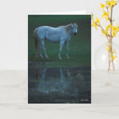 Bob Langrish Grey Arab Standing By Pond Reflection カード (黄色い花)