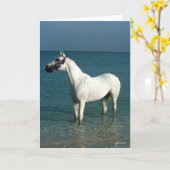 Bob Langrish | Grey Arab Standing In The Sea カード (黄色い花)