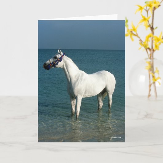 Bob Langrish | Grey Arab Standing In The Sea カード (黄色い花)