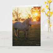 Bob Langrish | Grey Percheron Standing In Sunset カード (黄色い花)