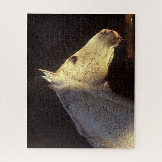 Bob Langrish | Grey Thoroughbred Stallion Headshot ジグソーパズル (縦)