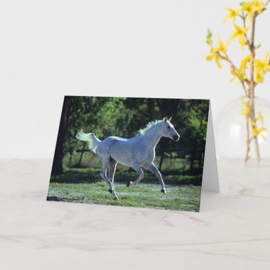 Bob Langrish | Grey Thoroughbred Stallion Running カード (黄色い花)