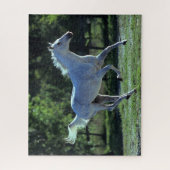 Bob Langrish | Grey Thoroughbred Stallion Running ジグソーパズル (縦)
