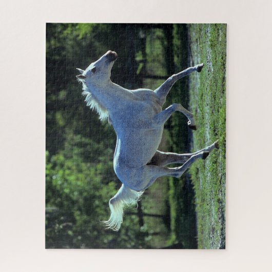 Bob Langrish | Grey Thoroughbred Stallion Running ジグソーパズル (縦)