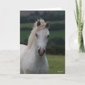 Bob Langrish | Grey Welsh Pony Headshot カード (正面)