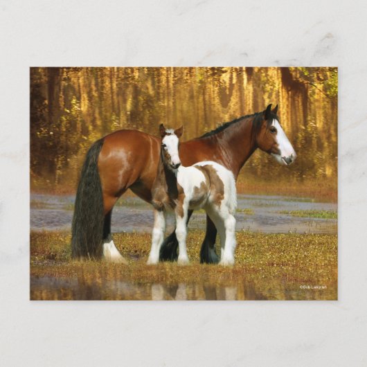 Bob Langrish | Gypsy Vanner Mare and Foal Fantasy ポストカード (正面)